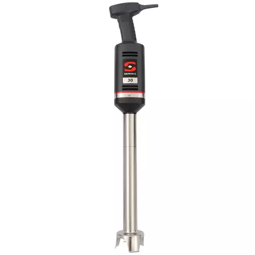 Mixeur plongeant professionnel XM-33