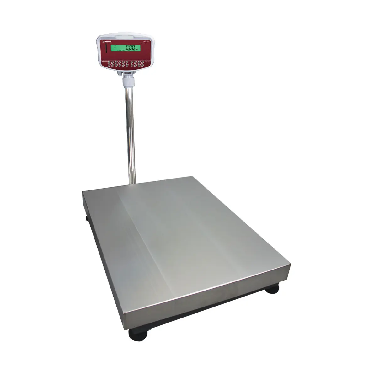 Bascule électronique inox avec colonne, 300Kg x 20g