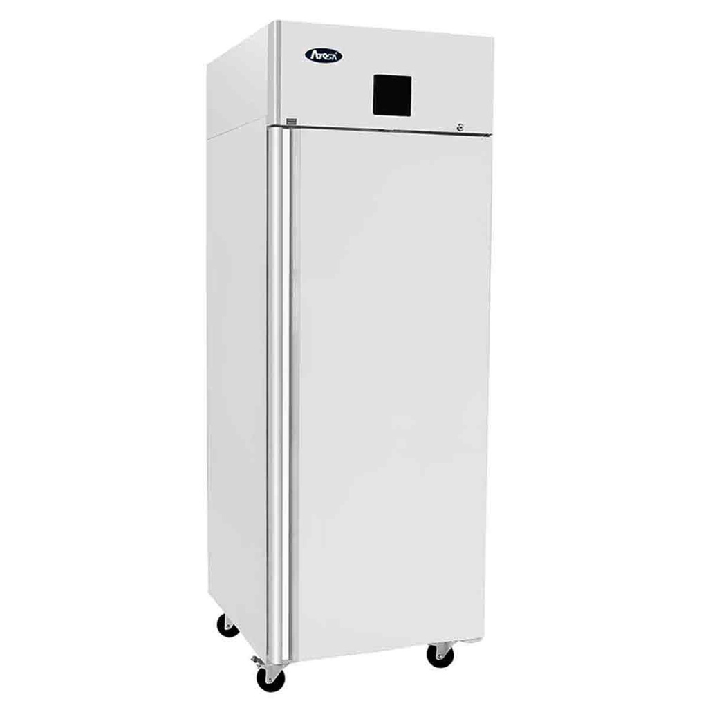 Armoire positive GN2/1 1 porte pleine 670L
