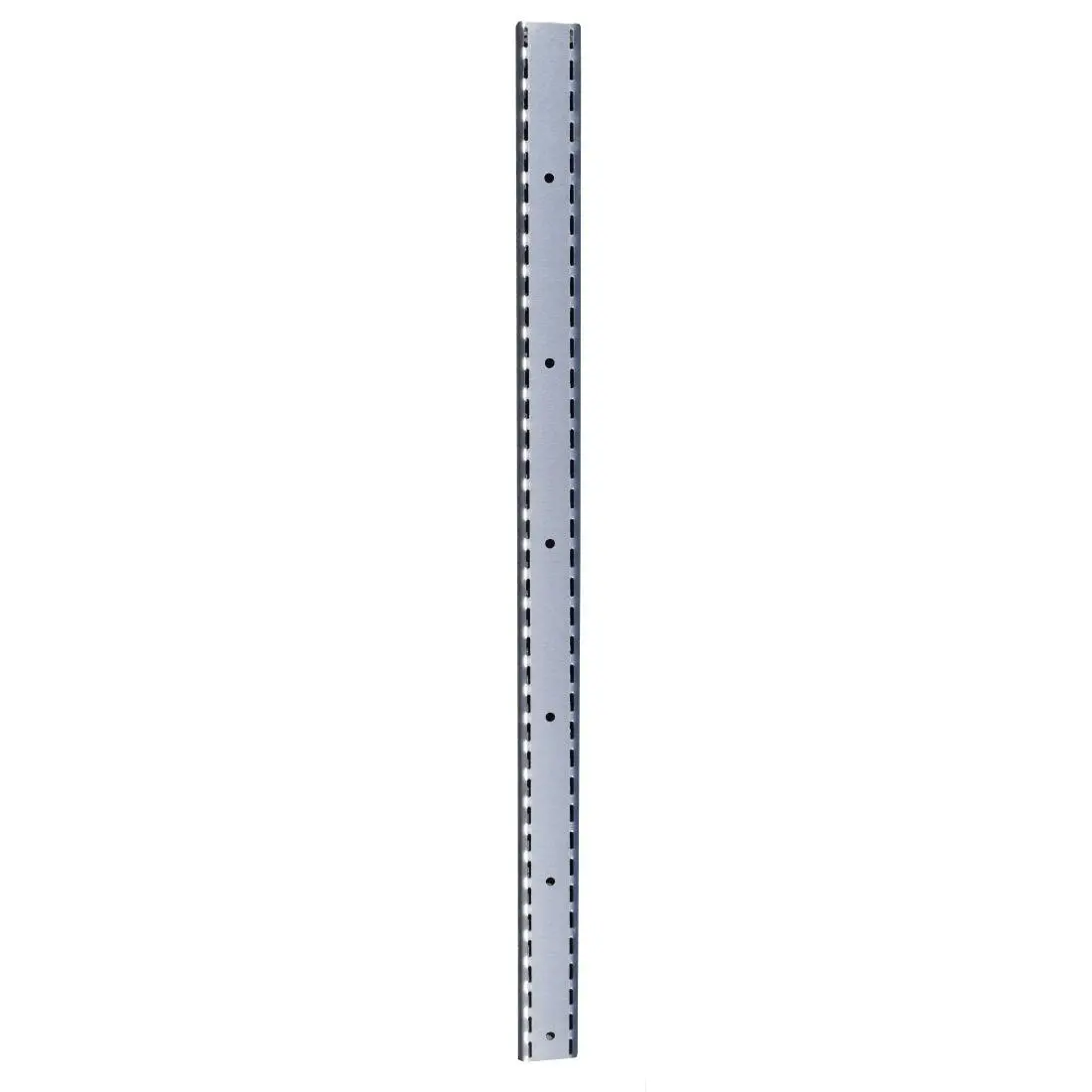 Crémaillère inox pour équerres DS453 Gastro M 1000mm